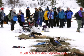 Spectators stand on frozen Puntilla Lake at the Rainy Pass checkpoint and watch Alliy Zirkle's team rest March 4, 2013.