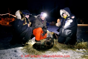 Veterinarians Thomas Sterling, center and Gayle Tate, right, check one of Anna Berington's dogs at the Finger Lake checkpoint Monday, March 4, 2013.