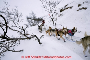 Aliy Zirkle runs over a narrow section of trail shortly after cresting the summit of Rainy Pass during the 2013 Iditarod sled Dog Race   March 4, 2013.

Photo by Jeff Schultz Do Not Reproduce without permission