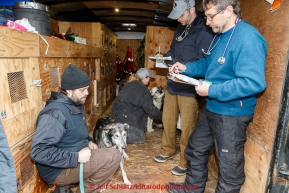 Rick Casillo's dog Monster being checked out at the mandatory pre-race veterinary checkup held at Iditarod headquarters in Wasilla on Wednesday March 4, 2015 during the 2015 Iditarod(C) Jeff Schultz/SchultzPhoto.com - ALL RIGHTS RESERVED DUPLICATION  PROHIBITED  WITHOUT  PERMISSION