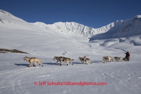 Aliy Zirkle closes in on the summit of Rainy Pass on Monday March 3 during Iditarod 2014 . PHOTO BY JEFF SCHULTZ/IDITARODPHOTOS.COM  USE ONLY WITH PERMISSION