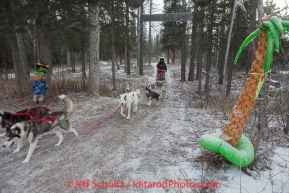 Karen Ramstead arrives at the Rohn Checkpoint on Tuesday March 4 during Iditarod 2014 . PHOTO BY JEFF SCHULTZ/IDITARODPHOTOS.COM  USE ONLY WITH PERMISSION