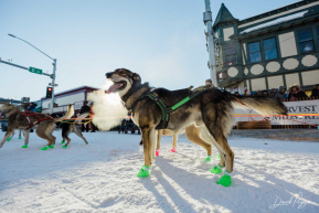 20230304-iditarod-ceremonial-start-anchorage-052-R5A_0874