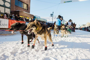 Dog Surge - 2023 Ceremonial Start