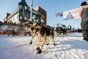 Eric Kelly's Dog Team - 2023 Ceremonial Start