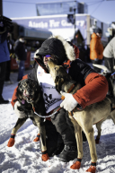 Aaron Peck loves on his lead dogs before riding through Anchorage at the 2023 ceremonial start