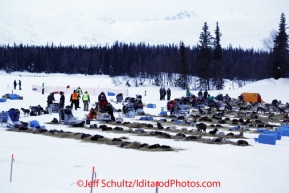 Monday March 5, 2012  Overview of dog teams and mushers at the Finger Lake checkpoint during Iditarod 2012.