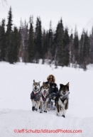 Monday March 5, 2012  Ken Anderson arrives at the Finger Lake checkpoint during Iditarod 2012.