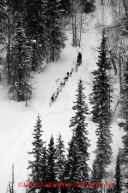 Monday March 5, 2012  Aerial view of Karen Ramstead on the trail from Finger Lake to Rainy Pass during Iditarod 2012.