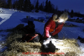 Monday March 5, 2012  Veterinarian Elizabeth King checking Aaron Burmeister's dogs at the Finger Lake checkpoint during Iditarod 2012.