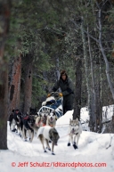 Rudy Demoski Sr. runs through the buffalo tunnels on the trail after leaving the Rohn checkpoint on the way to Nikolai during the 2013 Iditarod sled Dog Race   March 5, 2013.Photo by Jeff Schultz Do Not Reproduce without permission    March 5, 2013.