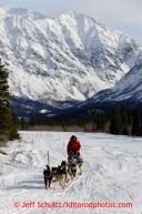 Russian musher Mikhail Telpin runs down the trail on the airstrip at Rohnon the way in to the checkpoit  during the 2013 Iditarod sled Dog Race   March 5, 2013.Photo by Jeff Schultz Do Not Reproduce without permission