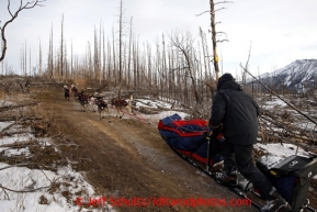 Charlie Bejna runs on a dirt trail 10 miles after leaving the Rohn checkpoint on the way to Nikolai during the 2013 Iditarod sled Dog Race   March 5, 2013.Photo by Jeff Schultz Do Not Reproduce without permission