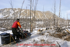 Linwood Fiedler runs in a burned out section of the trail after leaving the Rohn checkpoint on the way to Nikolai during the 2013 Iditarod sled Dog Race   March 5, 2013.Photo by Jeff Schultz Do Not Reproduce without permission