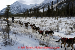 Louie Ambrose on the trail after leaving the Rohn checkpoint on the way to Nikolai during the 2013 Iditarod sled Dog Race   March 5, 2013.Photo by Jeff Schultz Do Not Reproduce without permission   March 5, 2013.