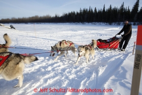 Mike Ellis rolls into the Nikolai checkpoint with his team of Siberian Huskies March 5, 2013.