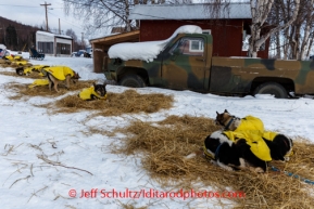 Iditarod 2014 05 Wednesday