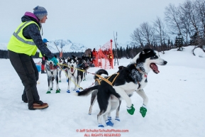 Volunteer Susanna Reider holds back exhuberant dogs of Lars Monson as he checks in at the Finger Lake checkpoint during the 2018 Iditarod race on Monday March 05, 2018. Photo by Jeff Schultz/SchultzPhoto.com  (C) 2018  ALL RIGHTS RESERVED