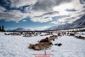 Teams rest in the sun on Puntilla Lake at the Rainy Pass checkpoint during the 2018 Iditarod race on Monday March 05, 2018. Photo by Jeff Schultz/SchultzPhoto.com  (C) 2018  ALL RIGHTS RESERVED