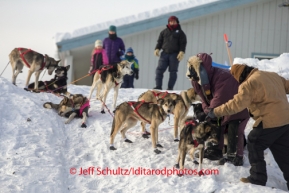 Bob Bundtzen changes a leader as he heads down the bank of the Kuskokwim after checking in and out of the McGrath checkpoint on Wednesday March 5 , 2014 during the 2014 IditarodPHOTO BY JEFF SCHULTZ / IDITARODPHOTOS.COM  DO NOT REPRODUCE WITHOUT PERMISSION