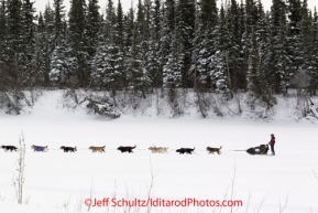 Tuesday March 6, 2012  Rookie musher Anjanette Steer mushes on the Kuskokwim river just before the Nikolai checkpoint, Iditarod 2012.