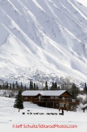 Tuesday March 6, 2012 Sylvia Furtwangler on Puntilla Lake while leaving the Rainy Pass checkpoint with the Alaska Range in the background, Iditarod 2012.