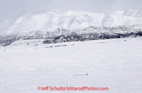 Tuesday March 6, 2012  Bob Chlupach runs in Ptarmigan Valley on the way to Rohn after leaving the Rainy Pass checkpoint, Iditarod 2012.