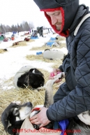 Tuesday March 6, 2012 Nicholas Petit gives a massage to his dog, Helga, at the Nikolai checkpoint, Iditarod 2012.