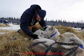 Tuesday March 6, 2012  Voluteer veterinarian Cat Hefley checks Justin Savidis dogs at the Nikolai checkpoint, Iditarod 2012.