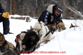 Volunteer veterinarian Michael Walker examines Richie Diehls team at the Takotna checkpoint on Wednesday March 6, 2013.Iditarod Sled Dog Race 2013Photo by Jeff Schultz copyright 2013 DO NOT REPRODUCE WITHOUT PERMISSION