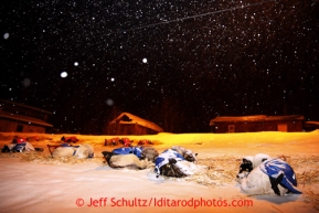 Mitch Seavey's team rests during a light snowfall at the Tokotna checkpoint just before dawn on Wednesday March 6, 2013.Iditarod Sled Dog Race 2013Photo by Jeff Schultz copyright 2013 DO NOT REPRODUCE WITHOUT PERMISSION