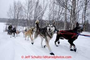 Kristy Berington comes off the river and heads up to the hill to the Takotna checkpoint Wednesday March 6, 2013.Iditarod Sled Dog Race 2013Photo by Jeff Schultz copyright 2013 DO NOT REPRODUCE WITHOUT PERMISSION