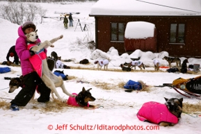 DeeDee Jonrowe gives one of her dogs a back stretch at the Takotna checkpoint on Wednesday March 6, 2013.Iditarod Sled Dog Race 2013Photo by Jeff Schultz copyright 2013 DO NOT REPRODUCE WITHOUT PERMISSION