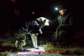 Iditarod 2014 05 Wednesday