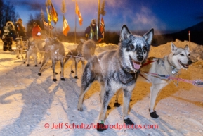 Iditarod 2014 05 Wednesday