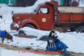 Iditarod 2014 06 Thursday