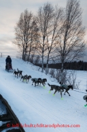 Iditarod 2014 06 Thursday