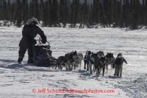 Mike Williams Jr. runs through a drifted trail as he arrives at the Cripple checkpoint, Thursday, March 6, during the Iditarod Sled Dog Race 2014.PHOTO (c) BY JEFF SCHULTZ/IditarodPhotos.com -- REPRODUCTION PROHIBITED WITHOUT PERMISSION