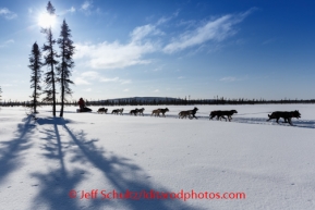 Iditarod 2014 06 Thursday