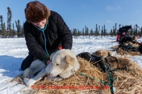 Iditarod 2014 06 Thursday