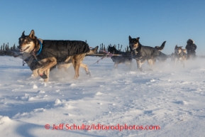 Jessie Royer teams runs through drifted snow as she approaches the Cripple checkpoint on Thursday, March 6, during the Iditarod Sled Dog Race 2014.PHOTO (c) BY JEFF SCHULTZ/IditarodPhotos.com -- REPRODUCTION PROHIBITED WITHOUT PERMISSION