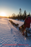 Nathan Schroeder approaches the Cripple checkpoint on Thursday, March 6, during the Iditarod Sled Dog Race 2014.PHOTO (c) BY JEFF SCHULTZ/IditarodPhotos.com -- REPRODUCTION PROHIBITED WITHOUT PERMISSION