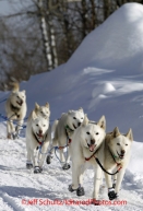 Wednesday March 7, 2012  Jim Lanier runs down the road into the Takotna checkpoint Iditarod 2012.