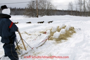 Wednesday March 7, 2012  Bill Pinkham's team runs down the road past a dog team snow sculpture at the Takotna checkpoint Iditarod 2012.