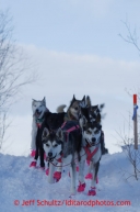 DeeDee Jonrowe drops onto the river on the trail into the halfway checkpoint of Iditarod on Thursday March 7, 2013.

Iditarod Sled Dog Race 2013

Photo by Jeff Schultz copyright 2013 DO NOT REPRODUCE WITHOUT PERMISSION