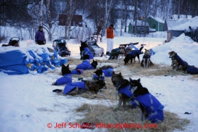 Karin Hendrickson and Linwood Fiedler work with their dogs at the Takotna checkpoint on Thursday March 7, 2013.Iditarod Sled Dog Race 2013Photo by Jeff Schultz copyright 2013 DO NOT REPRODUCE WITHOUT PERMISSION