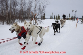 Paul Gebhart on the trail into the halfway checkpoint of Iditarod on Thursday March 7, 2013.

Iditarod Sled Dog Race 2013

Photo by Jeff Schultz copyright 2013 DO NOT REPRODUCE WITHOUT PERMISSION