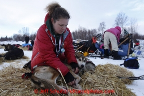 Volunteer veterinarian Lori Baldwin checks a Dallas Seavey dog at the halfway checkpoint of Iditarod on Thursday March 7, 2013.

Iditarod Sled Dog Race 2013

Photo by Jeff Schultz copyright 2013 DO NOT REPRODUCE WITHOUT PERMISSION