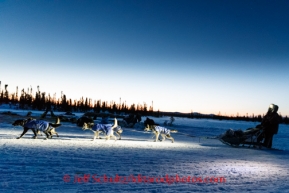 Bob Buntzen arrives at the Cripple checkpoint at dawn on Friday March 7, during the Iditarod Sled Dog Race 2014.PHOTO (c) BY JEFF SCHULTZ/IditarodPhotos.com -- REPRODUCTION PROHIBITED WITHOUT PERMISSION