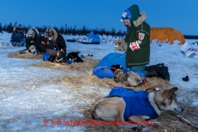 Veterinarians John Reichert, Glenn Behan and Bill Sampson examine Bob Bundtzen dogs shorlty after he arrived at the Cripple checkpoint, Friday March 7, during the Iditarod Sled Dog Race 2014.PHOTO (c) BY JEFF SCHULTZ/IditarodPhotos.com -- REPRODUCTION PROHIBITED WITHOUT PERMISSION